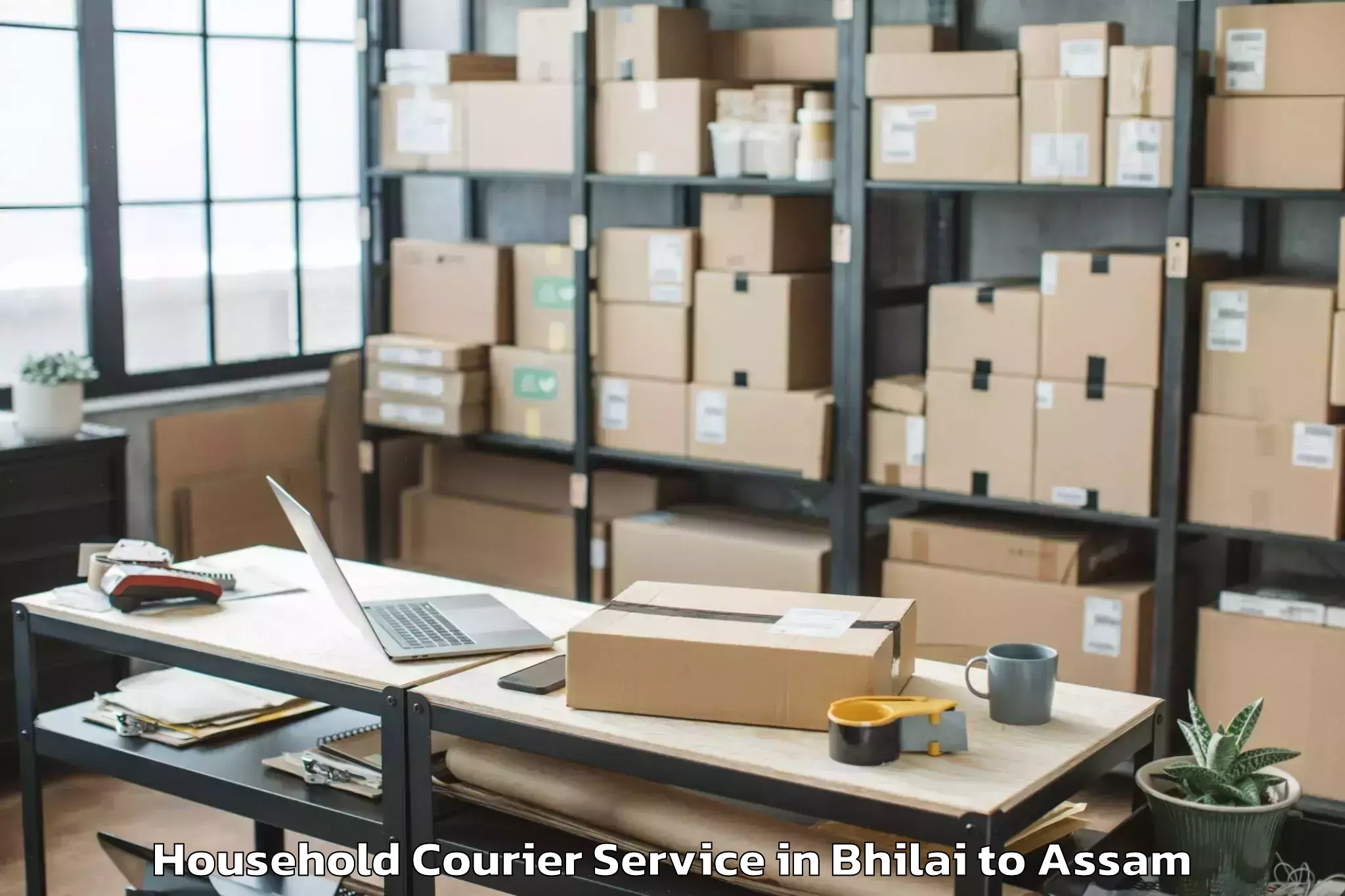 Professional Bhilai to Duliajan Household Courier